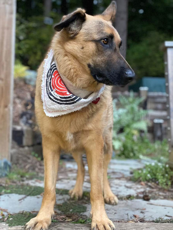 Darcy O and Co - Acme Bandana